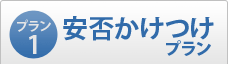 プラン1【安否かけつけプラン】